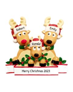 Personalized Reindeer Family of 3 Christmas Tree Ornament 