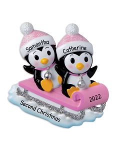 Personalized Twins on a Sled Christmas Tree Ornament Pink