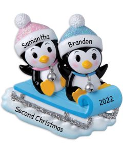 Personalized Twins on a Sled Christmas Tree Ornament Blue&Pink