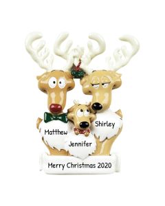 Personalized Reindeer Family of Three Christmas Tree Ornament 