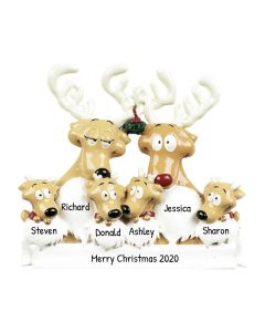 Personalized Reindeer Family of 6 Christmas Tree Ornament 